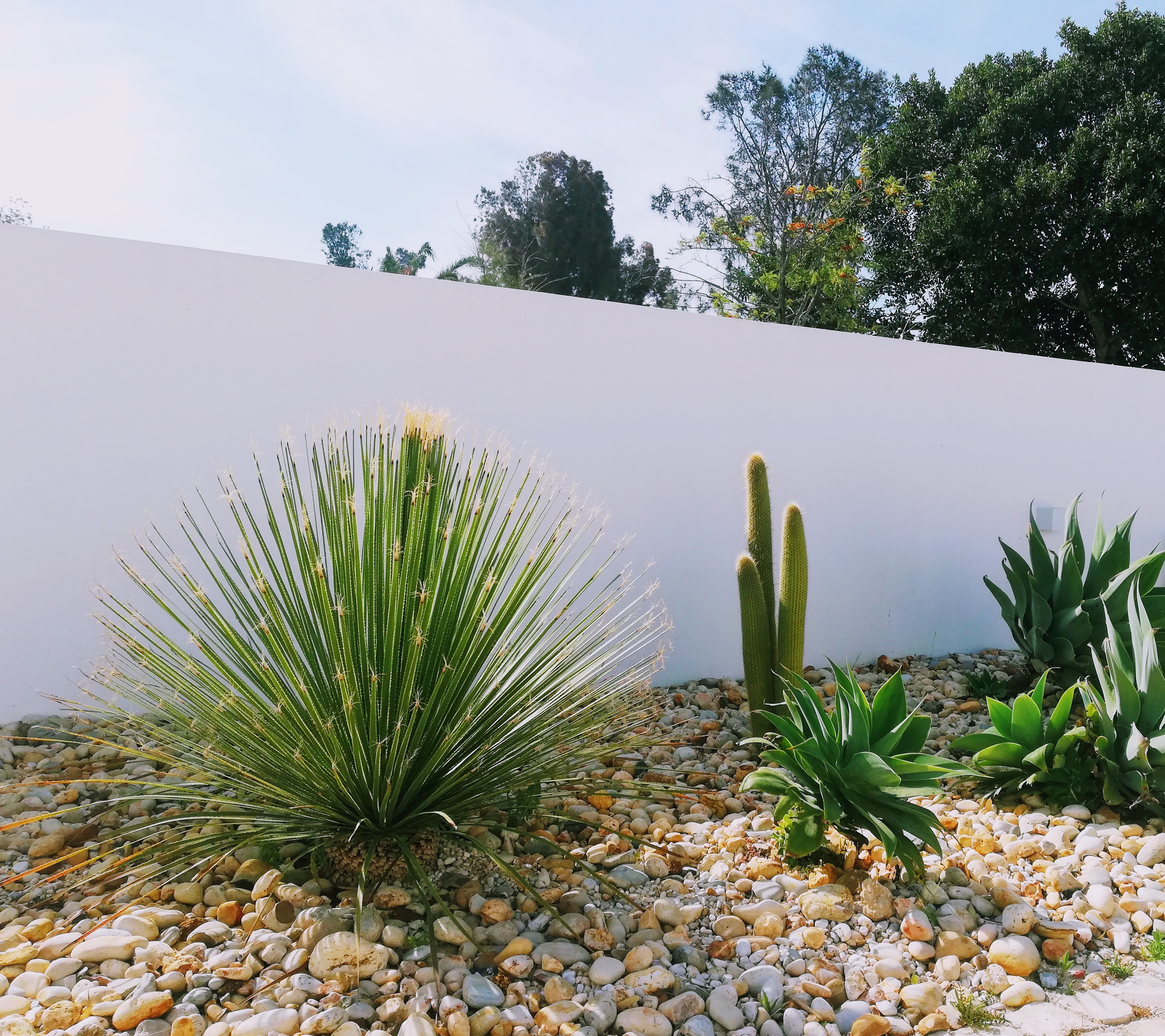 Aldeia de Marim - Image 5